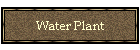 Water Plant